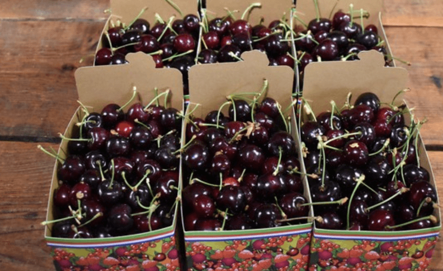 Why Brouwer Fruit - Kersen Verkoop Stands Out In Cherry Sales